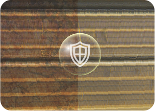 istock-03